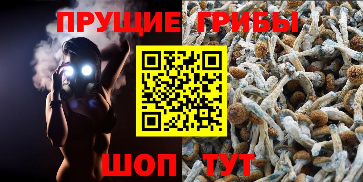 Галлюциногенные грибы Magic Shrooms  Псилоцибиновые грибы Psilocybine cubensis  Вход с VPN  купить закладку  Сочи 